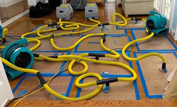 Professional Basement Flood Cleanup technician working in Higginsport, OH