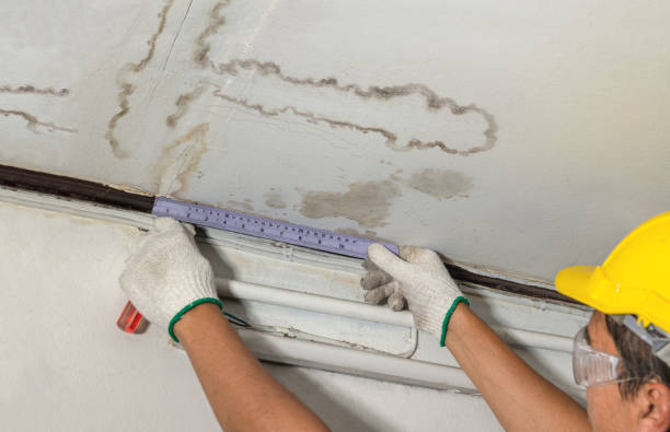 Affordable Water Damage Repair solutions in Higginsport, OH